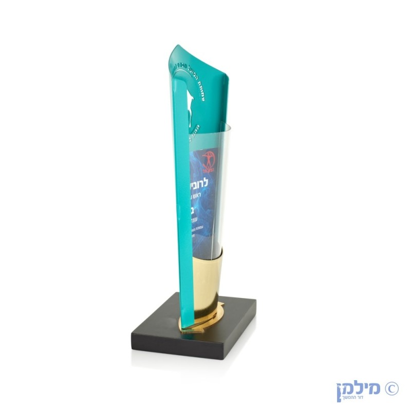מגן הוקרה דגם נגב