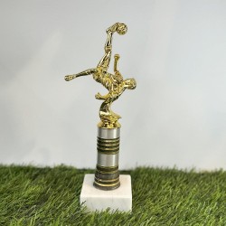 גביע כדורגל דגם רוברטו באג'ו