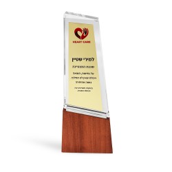 מגן זכוכית דגם ניו יורק