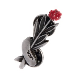 סיכת דם המכבים