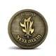 מדליה מטבע חרבות ברזל