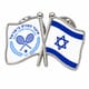 סיכת שני דגלים