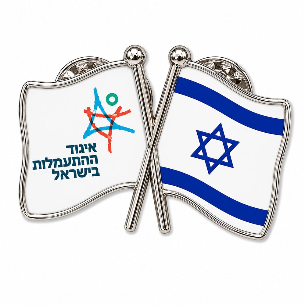 סיכת שני דגלים
