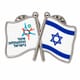 סיכת שני דגלים