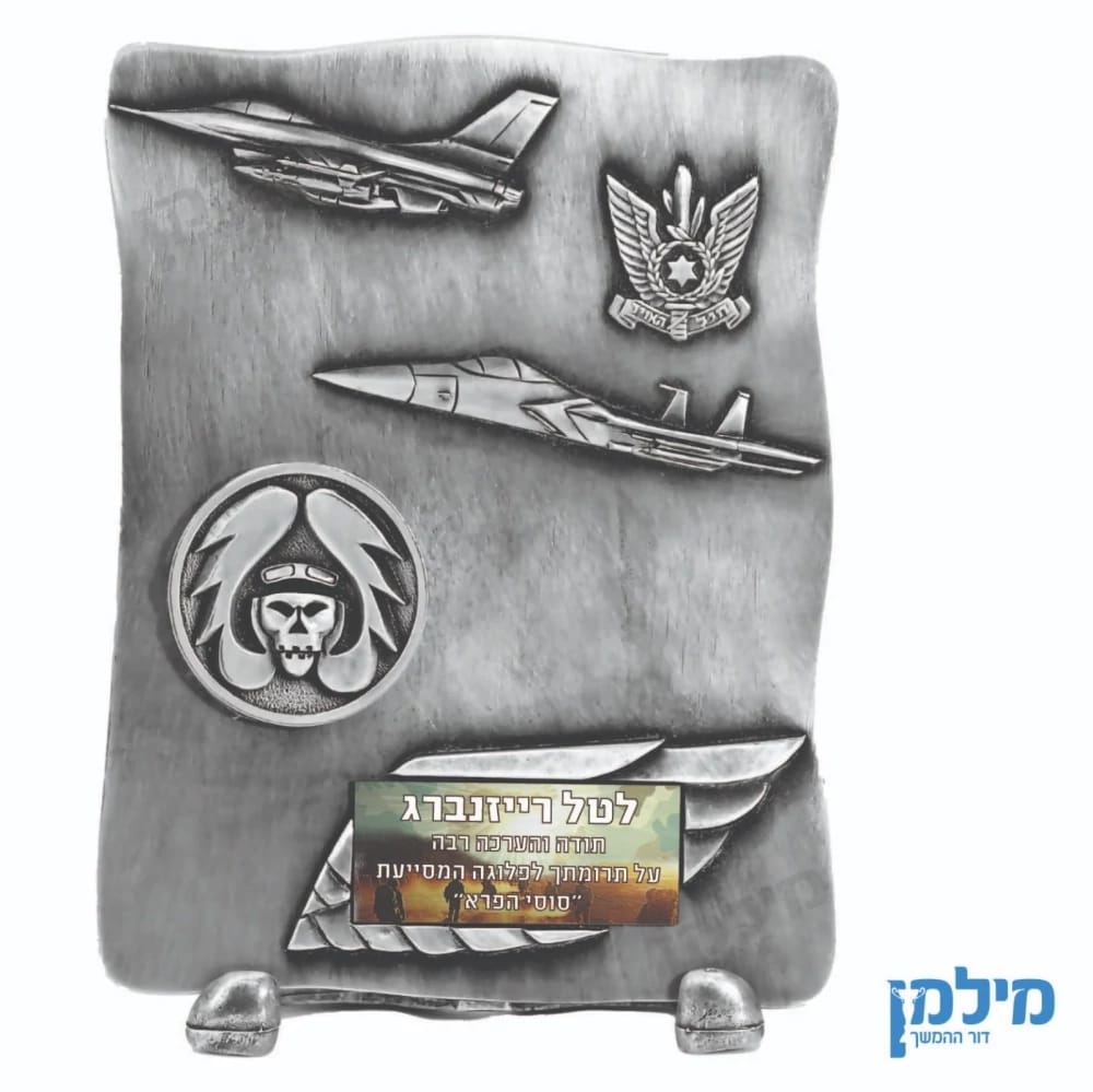 מגן הוקרה חיל האויר וינטג' מיציקת מתכת מסגוסגת זמק