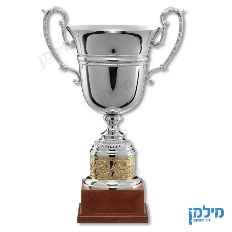 גביע מפואר מדגם "הולנד"