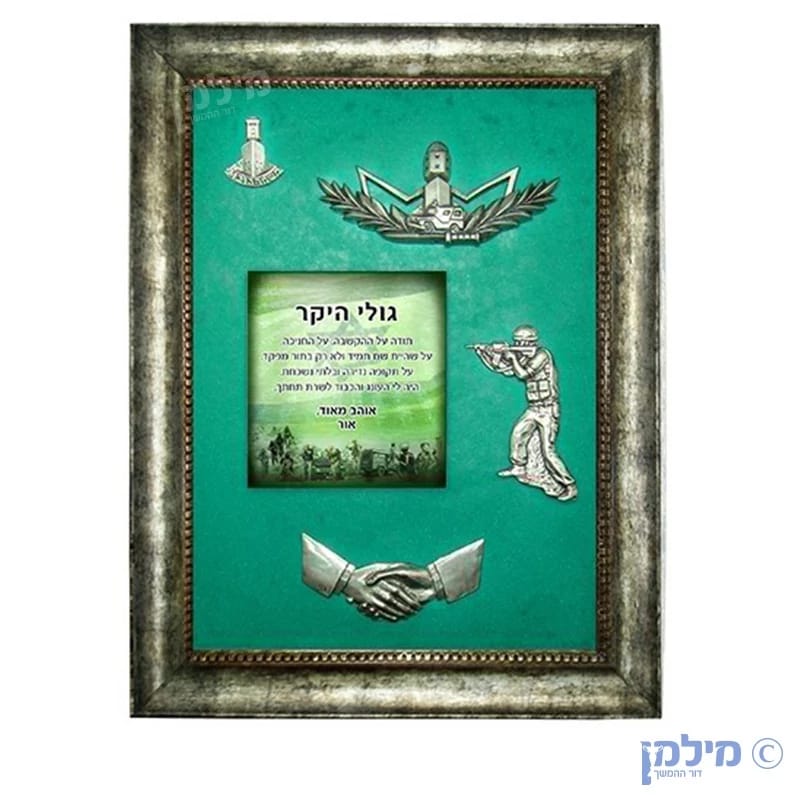 מגן מסגרת לוחם מג"ב