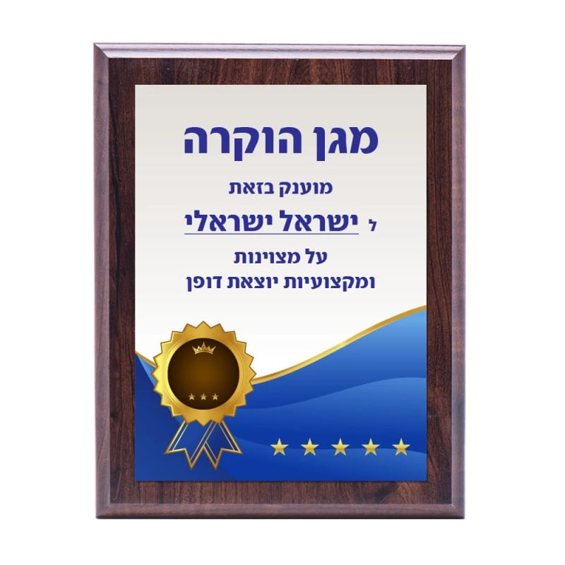 מגן עץ עם לוח מתכת