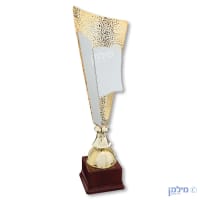 גביעים מהודרים