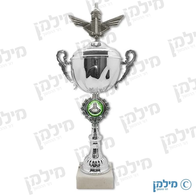 גביע הוקרה עם פסלון ימ"ס