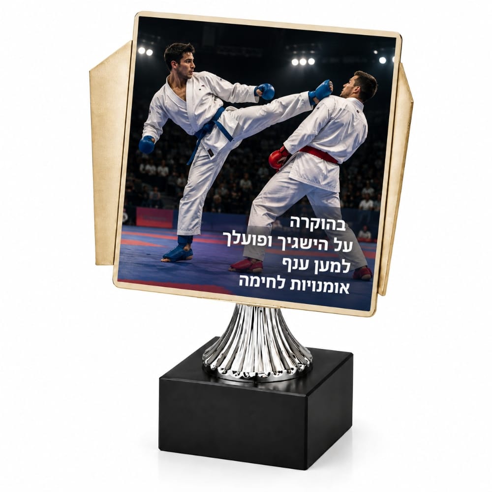 מגן הוקרה צורני ממתכת לקארטה