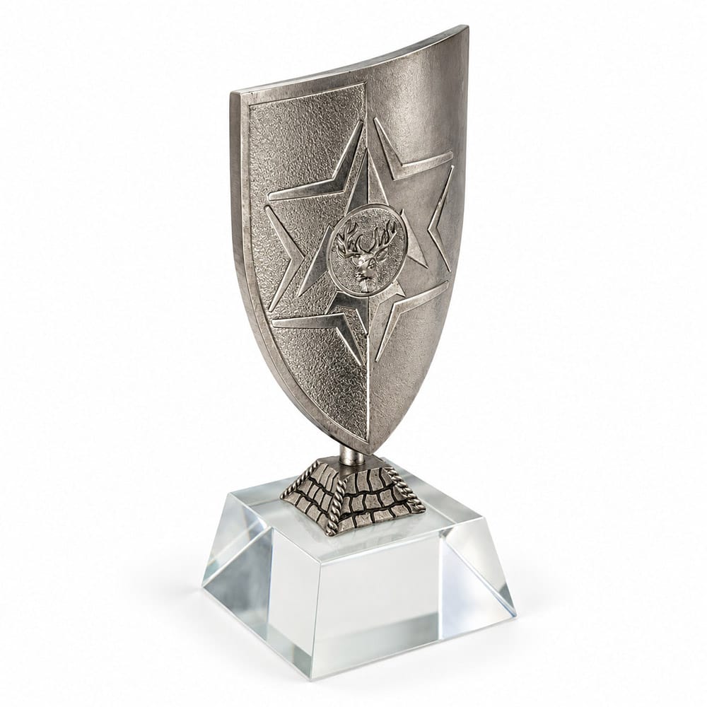 מגן הוקרה פיקוד צפון ביציקה